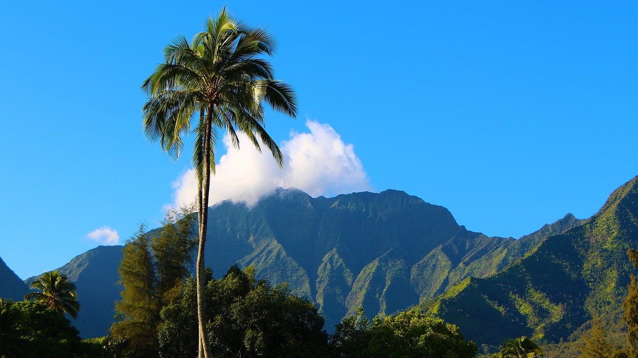 La Palma