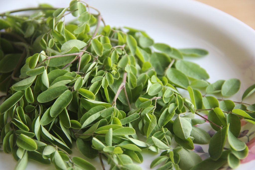 Propiedades de la Moringa Oleifera